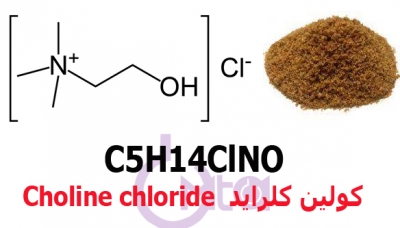 choline-chloride