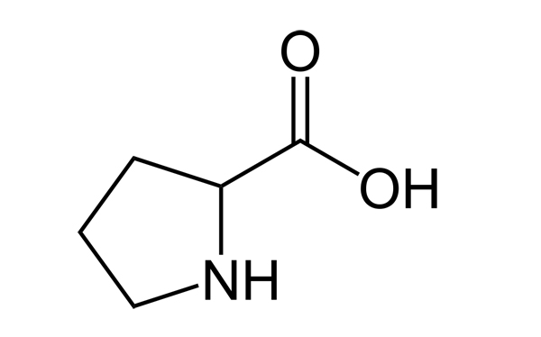 prolin
